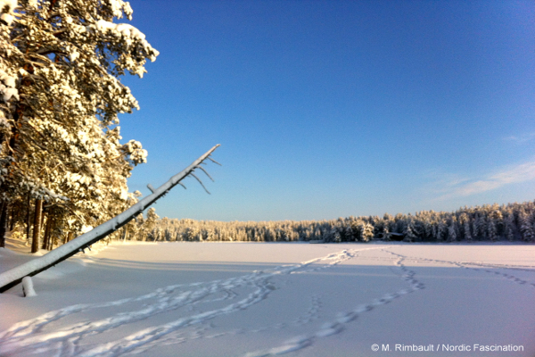 laponie-finlande-hiver-neige