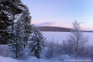 laponie-paysage-finlande-hiver-nature