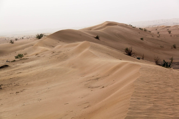 dubai-dune-sable-desert