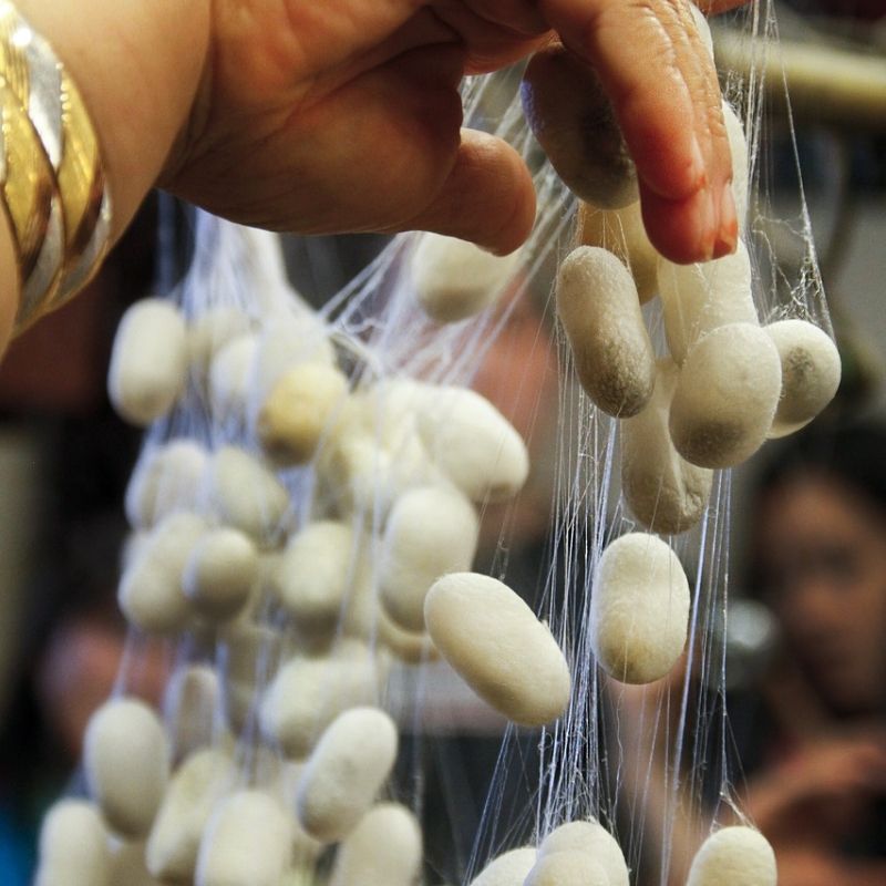 A Varanasi fabrique de soie à Bénarès en croisière Inde et Gange de Via Dream 