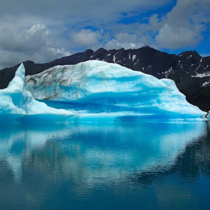 glacier-bay-croisiere-alaska